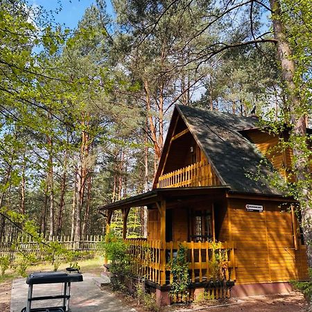Lesniczowka Villa Rzadza Екстериор снимка