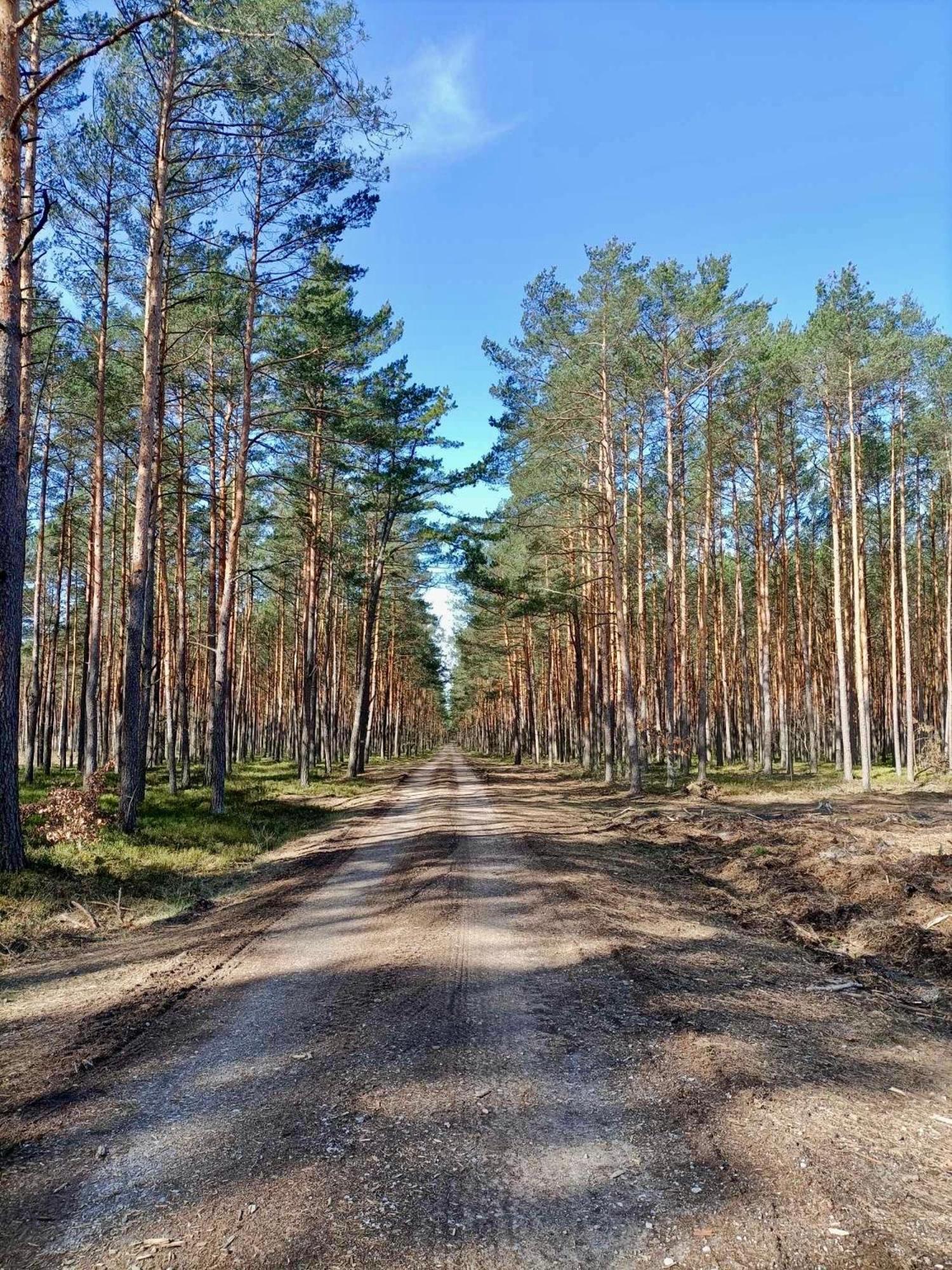 Lesniczowka Villa Rzadza Екстериор снимка